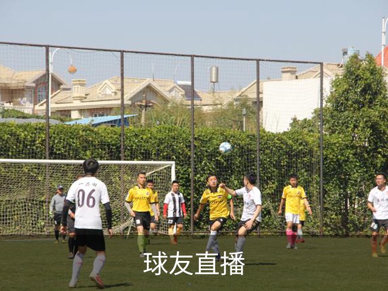 球友直播介绍
